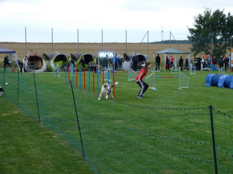 2017-dhv-Agi2017