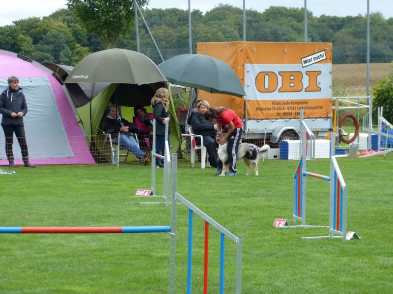 2017-dhv-Agi2017
