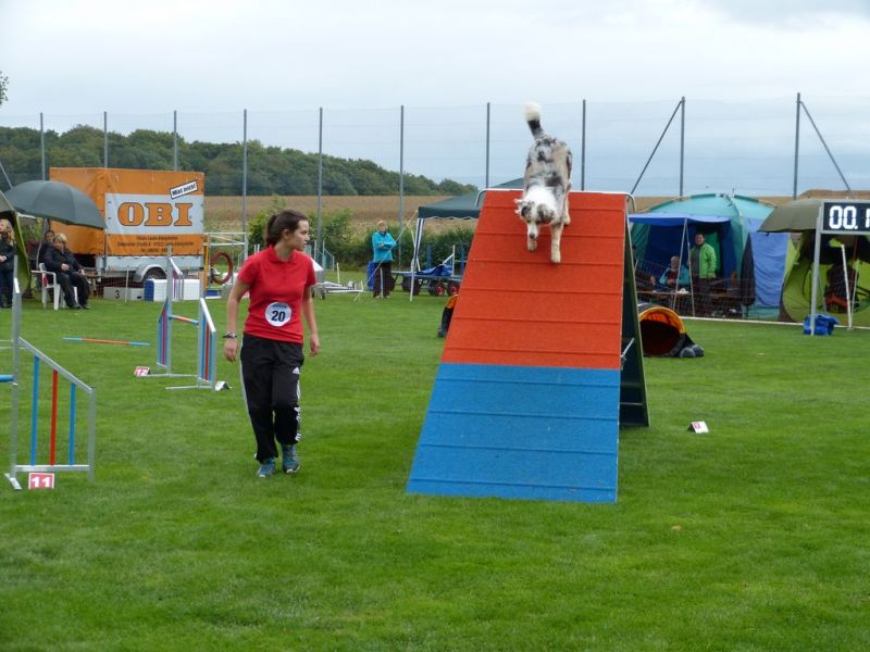 2017-dhv-Agi2017