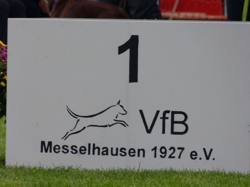 2017-dhv-Agi2017