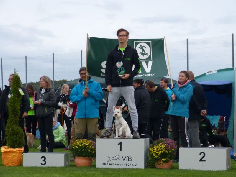 2017-dhv-Agi2017