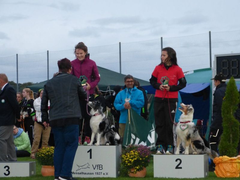 2017-dhv-Agi2017