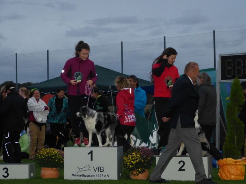 2017-dhv-Agi2017