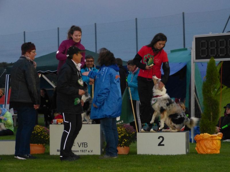 2017-dhv-Agi2017