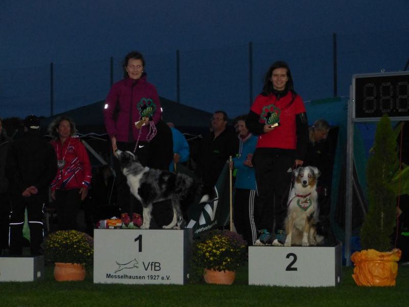 2017-dhv-Agi2017