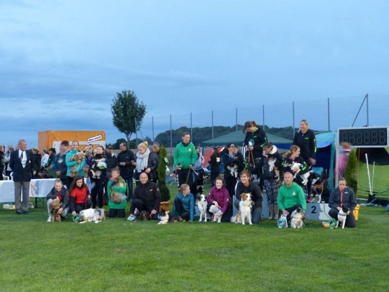 2017-dhv-Agi2017