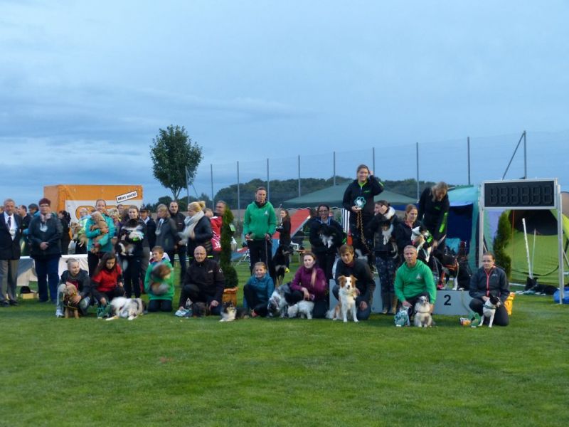 2017-dhv-Agi2017