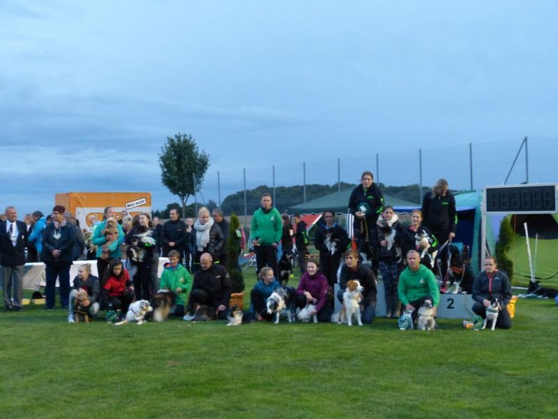 2017-dhv-Agi2017