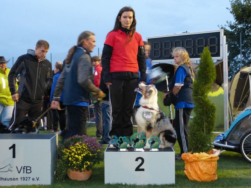 2017-dhv-Agi2017