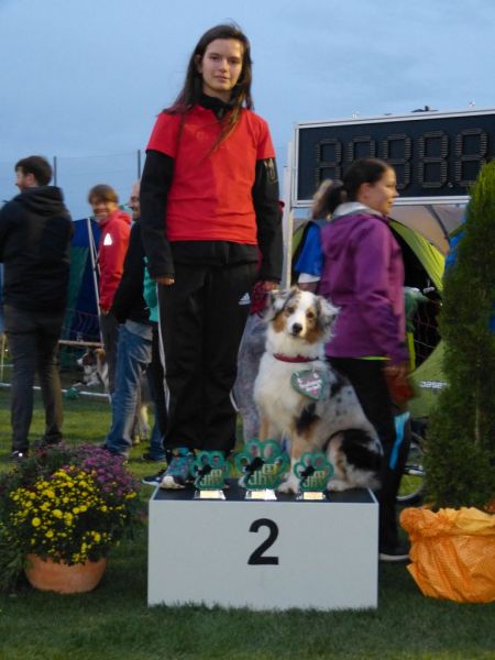 2017-dhv-Agi2017