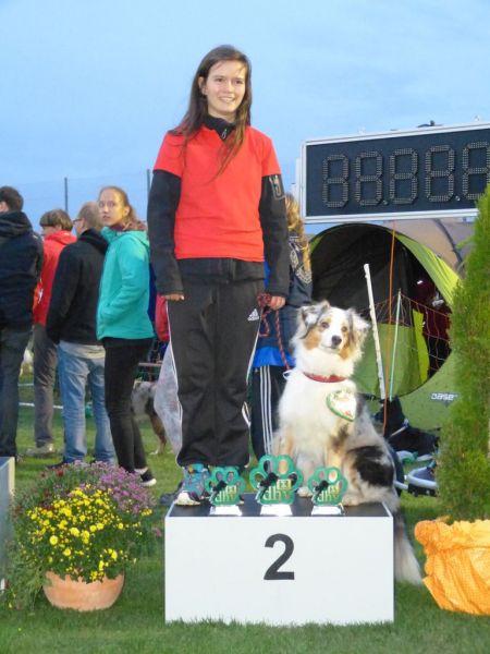 2017-dhv-Agi2017