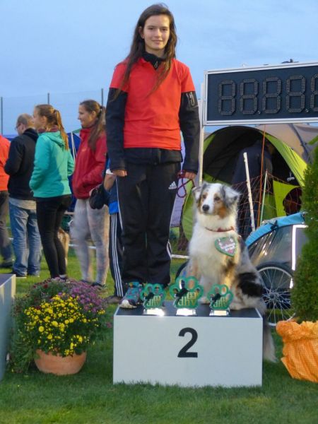 2017-dhv-Agi2017
