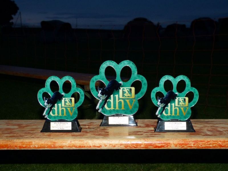 2017-dhv-Agi2017