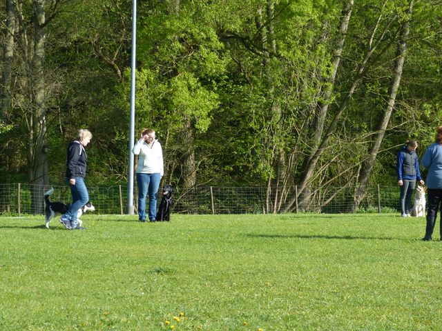 2017-obi-fruehjahrspruefung