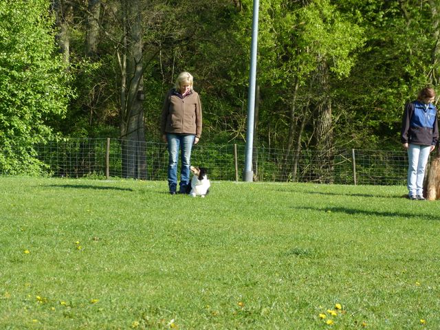 2017-obi-fruehjahrspruefung