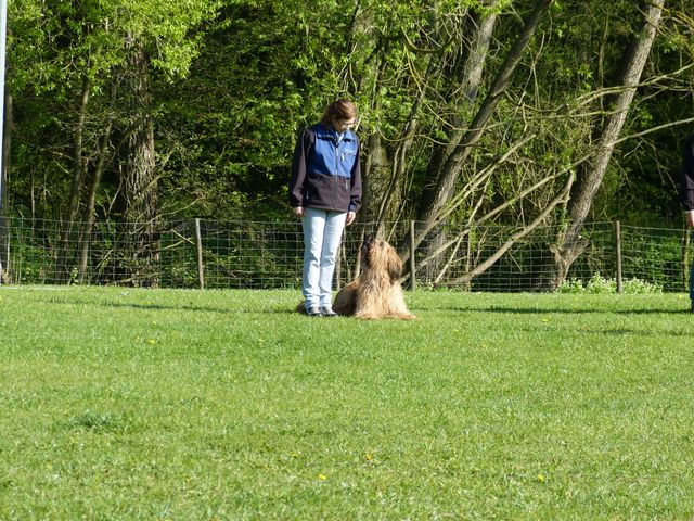 2017-obi-fruehjahrspruefung