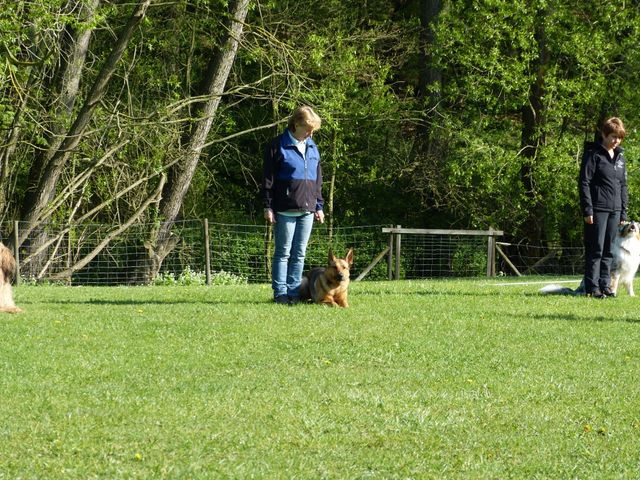 2017-obi-fruehjahrspruefung