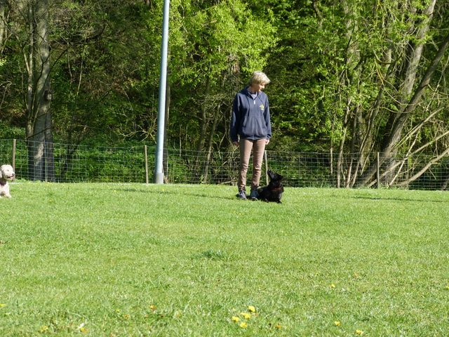2017-obi-fruehjahrspruefung