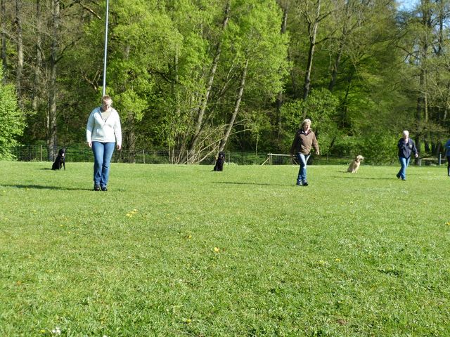 2017-obi-fruehjahrspruefung