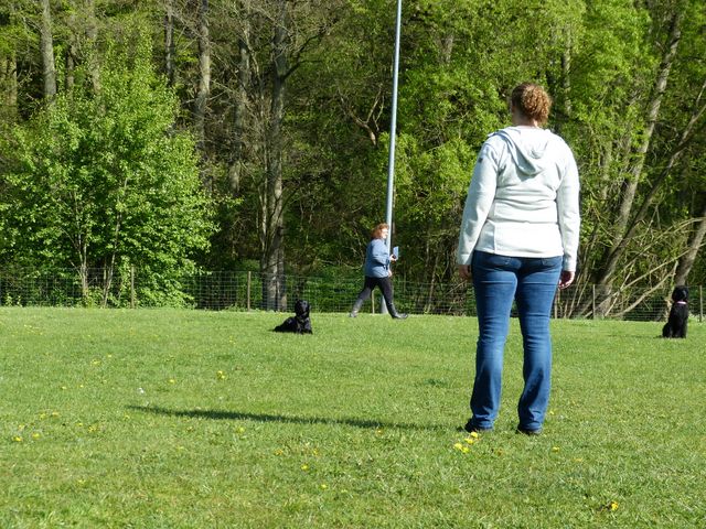 2017-obi-fruehjahrspruefung