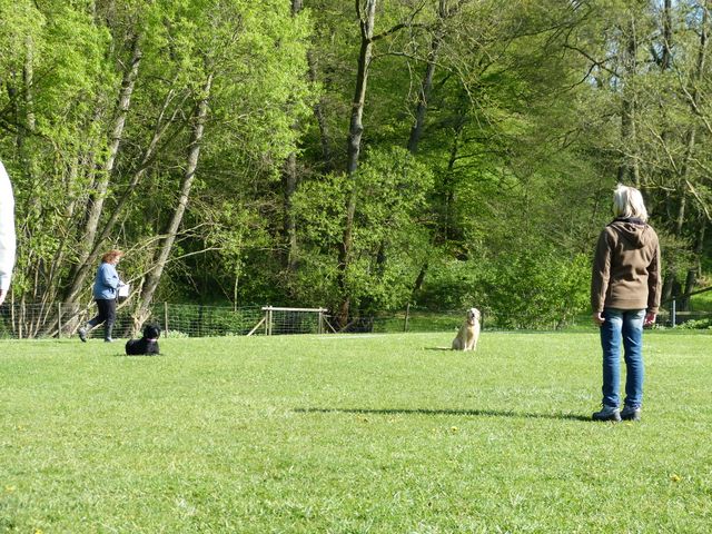 2017-obi-fruehjahrspruefung