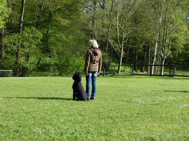2017-obi-fruehjahrspruefung