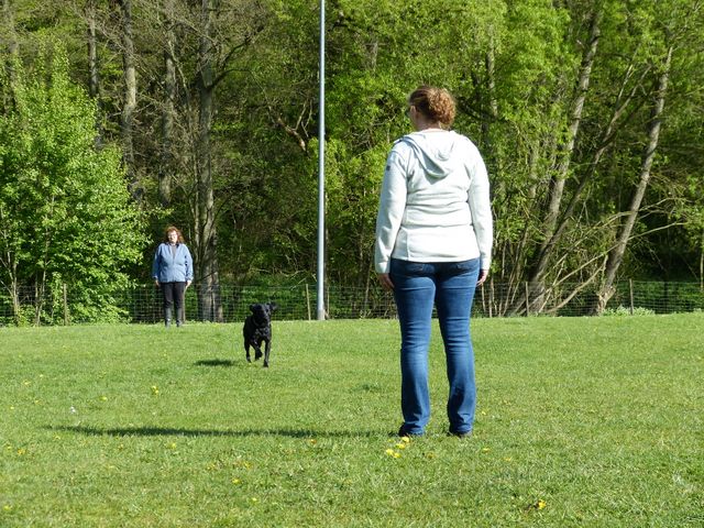 2017-obi-fruehjahrspruefung