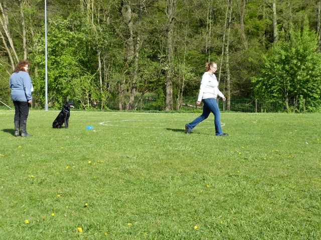 2017-obi-fruehjahrspruefung