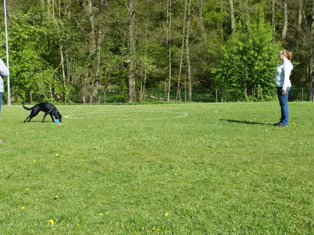 2017-obi-fruehjahrspruefung