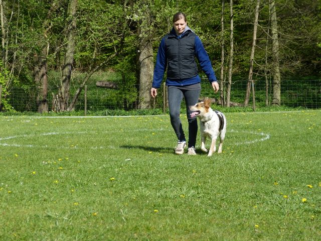 2017-obi-fruehjahrspruefung