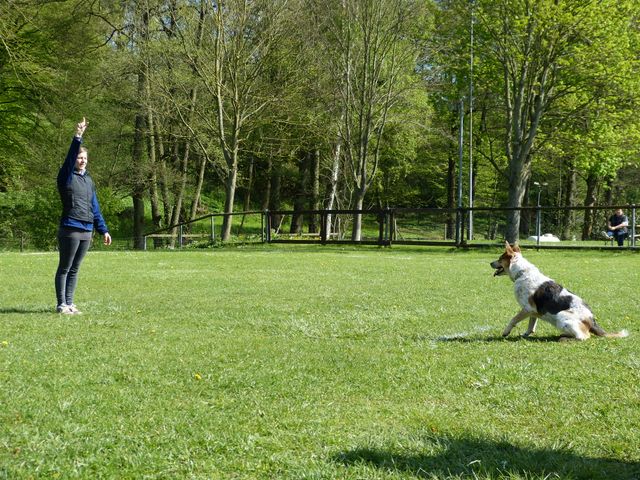 2017-obi-fruehjahrspruefung