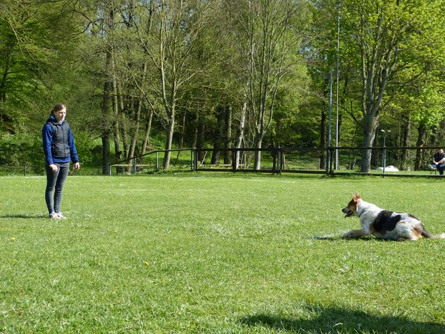 2017-obi-fruehjahrspruefung
