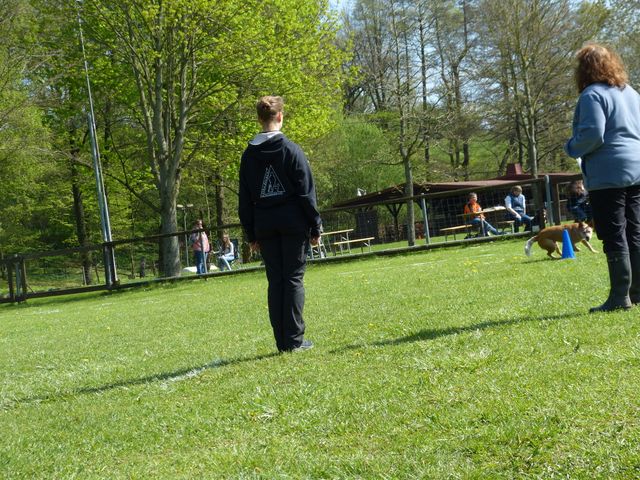 2017-obi-fruehjahrspruefung