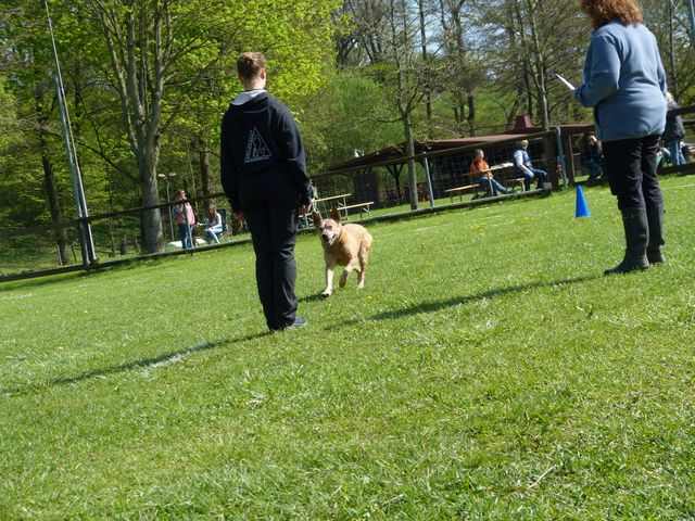 2017-obi-fruehjahrspruefung