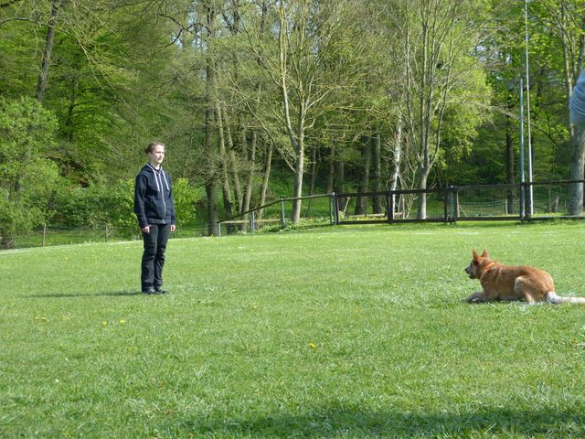 2017-obi-fruehjahrspruefung