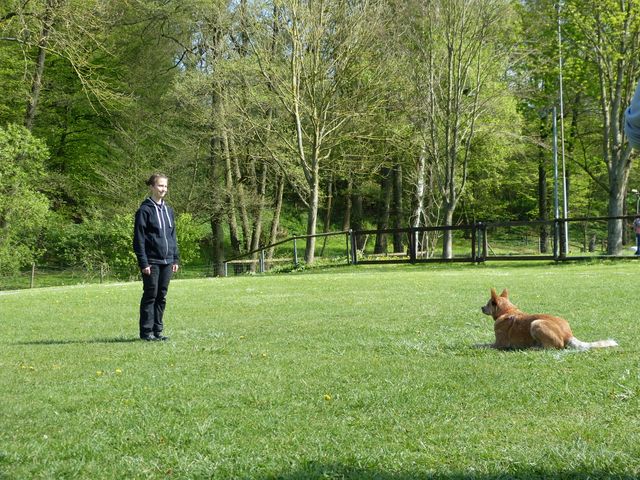 2017-obi-fruehjahrspruefung