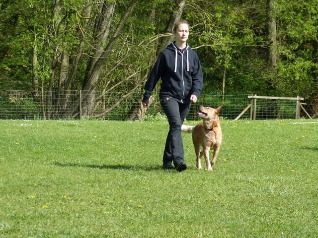 2017-obi-fruehjahrspruefung
