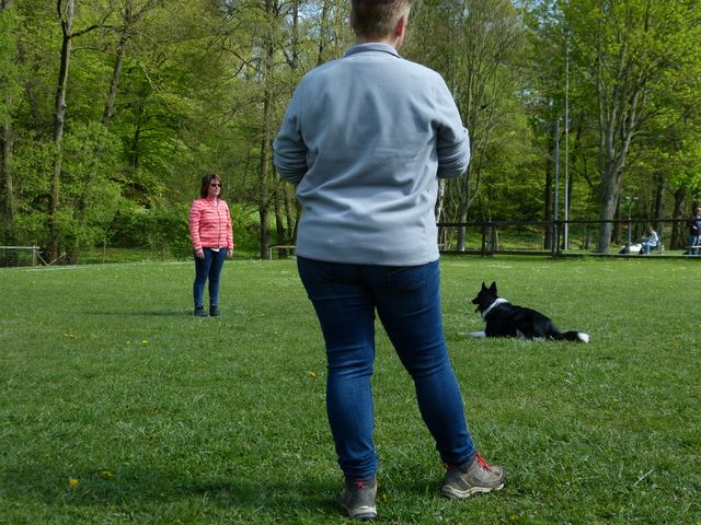 2017-obi-fruehjahrspruefung
