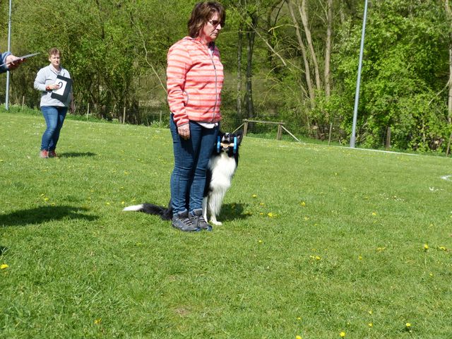 2017-obi-fruehjahrspruefung