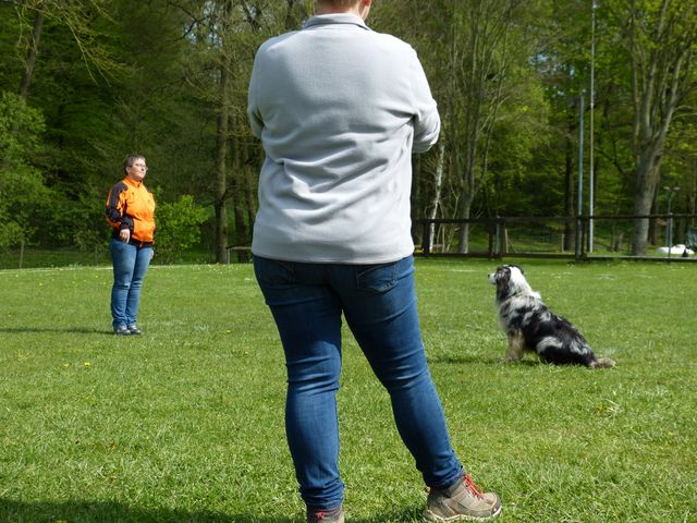 2017-obi-fruehjahrspruefung