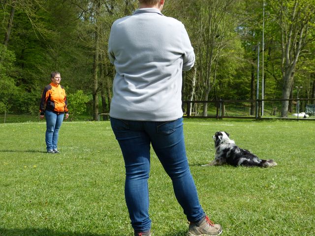 2017-obi-fruehjahrspruefung