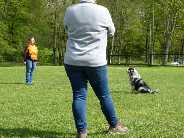 2017-obi-fruehjahrspruefung