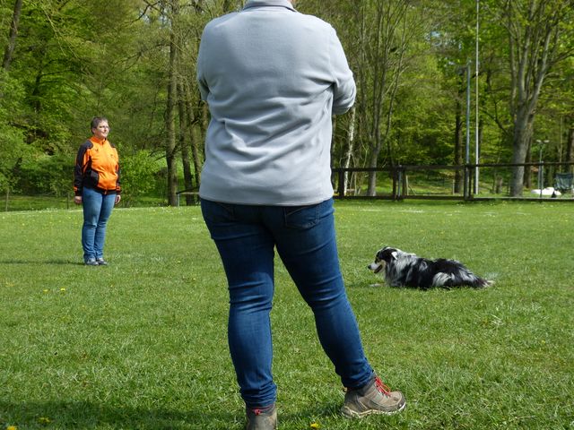 2017-obi-fruehjahrspruefung