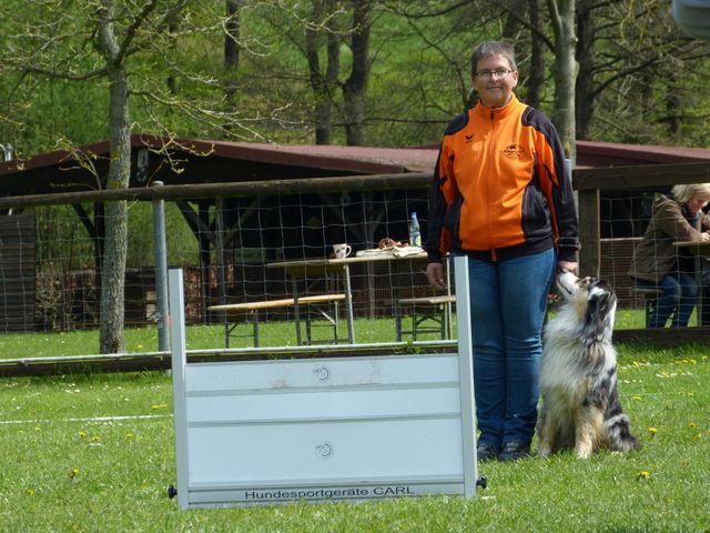 2017-obi-fruehjahrspruefung