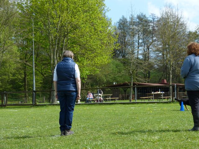 2017-obi-fruehjahrspruefung