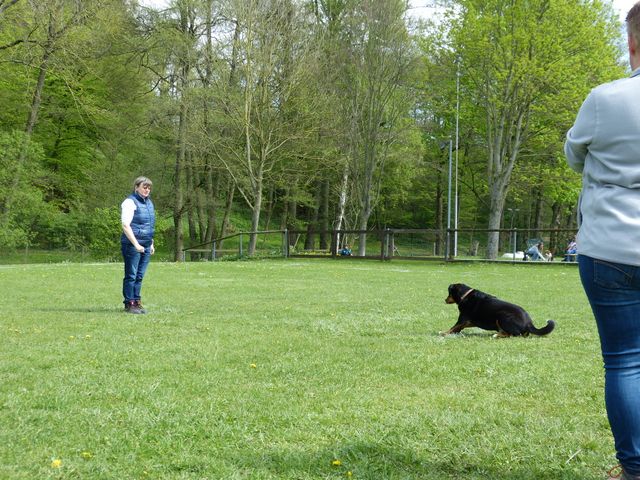 2017-obi-fruehjahrspruefung