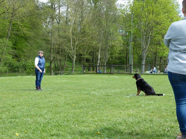 2017-obi-fruehjahrspruefung