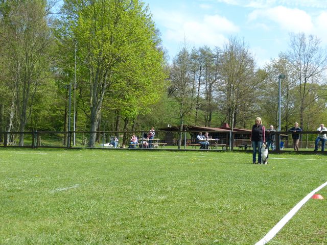 2017-obi-fruehjahrspruefung