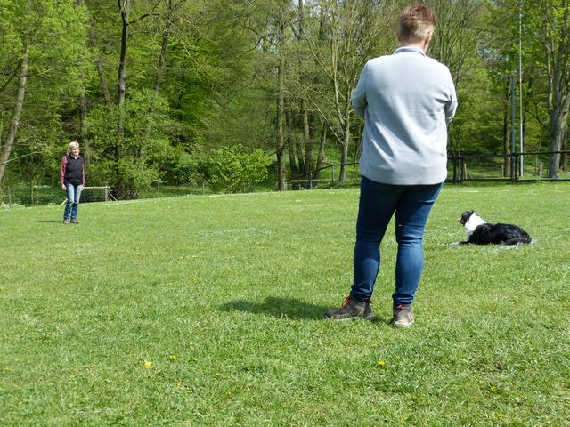 2017-obi-fruehjahrspruefung