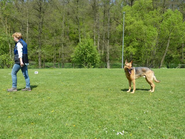 2017-obi-fruehjahrspruefung